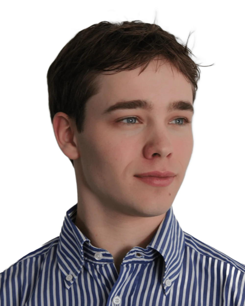 Mik de Looij
